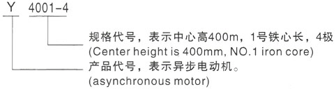 西安泰富西玛Y系列(H355-1000)高压YJTG-355L3-6A/280KW三相异步电机型号说明