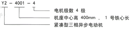 YR系列(H355-1000)高压YJTG-355L3-6A/280KW三相异步电机西安西玛电机型号说明